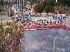 AvonBCW.jpg (138)_small.jpg